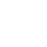 Vibe Eyewear